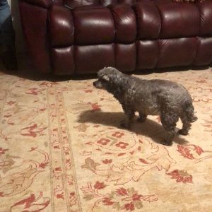 Meet your Posher, Donna